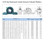 Rulmanlı Yatak UCP218 - Görsel 2