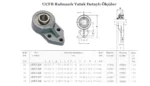 Rulmanlı Yatak UCFB 204 - Görsel 2
