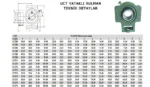 Rulmanlı Yatak UCT-207 - Görsel 2